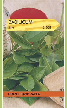 Oranjeband zaden Basilicum Fijnbladig
